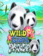 เฮ้ย ทางเข้ายูฟ่าเบท 169 ทดลองเล่นยังไงดีนะ?